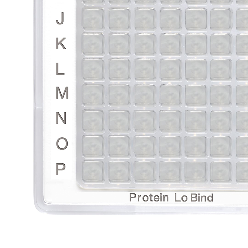 Protein LoBind